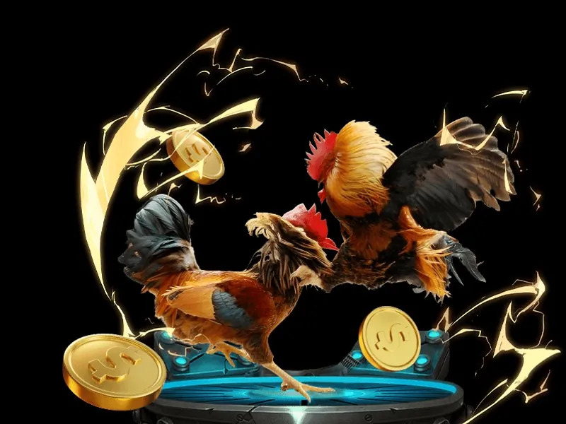 Vé số và các con số may mắn